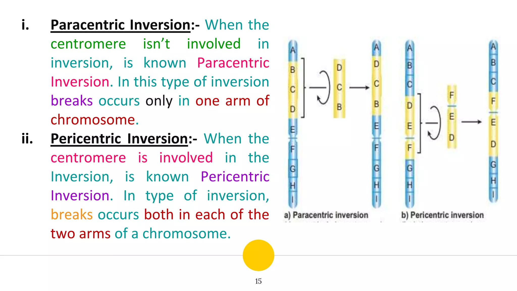 15
i. Paracentric Inversion:- When the
centromere isn’t involved in
inversion, is known Paracentric
Inversion. In this type of inversion
breaks occurs only in one arm of
chromosome.
ii. Pericentric Inversion:- When the
centromere is involved in the
Inversion, is known Pericentric
Inversion. In type of inversion,
breaks occurs both in each of the
two arms of a chromosome.
 