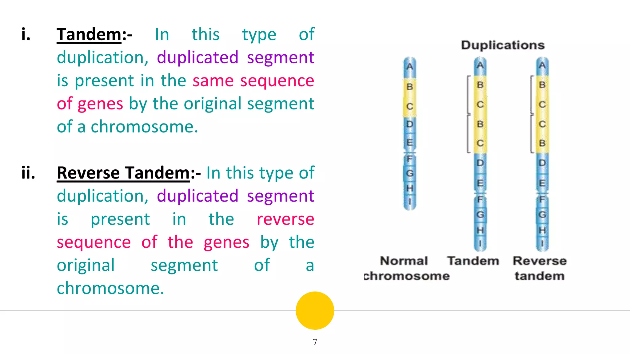 7
i. Tandem:- In this type of
duplication, duplicated segment
is present in the same sequence
of genes by the original segment
of a chromosome.
ii. Reverse Tandem:- In this type of
duplication, duplicated segment
is present in the reverse
sequence of the genes by the
original segment of a
chromosome.
 