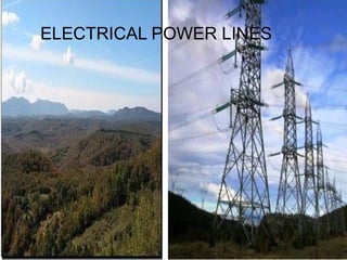 ELECTRICAL POWER LINES
 
