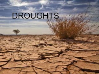 DROUGHTS
 