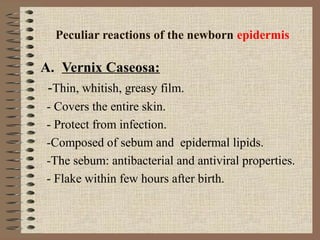 Vernox Rash Changes in newborn, pregnancy and old age | PPT