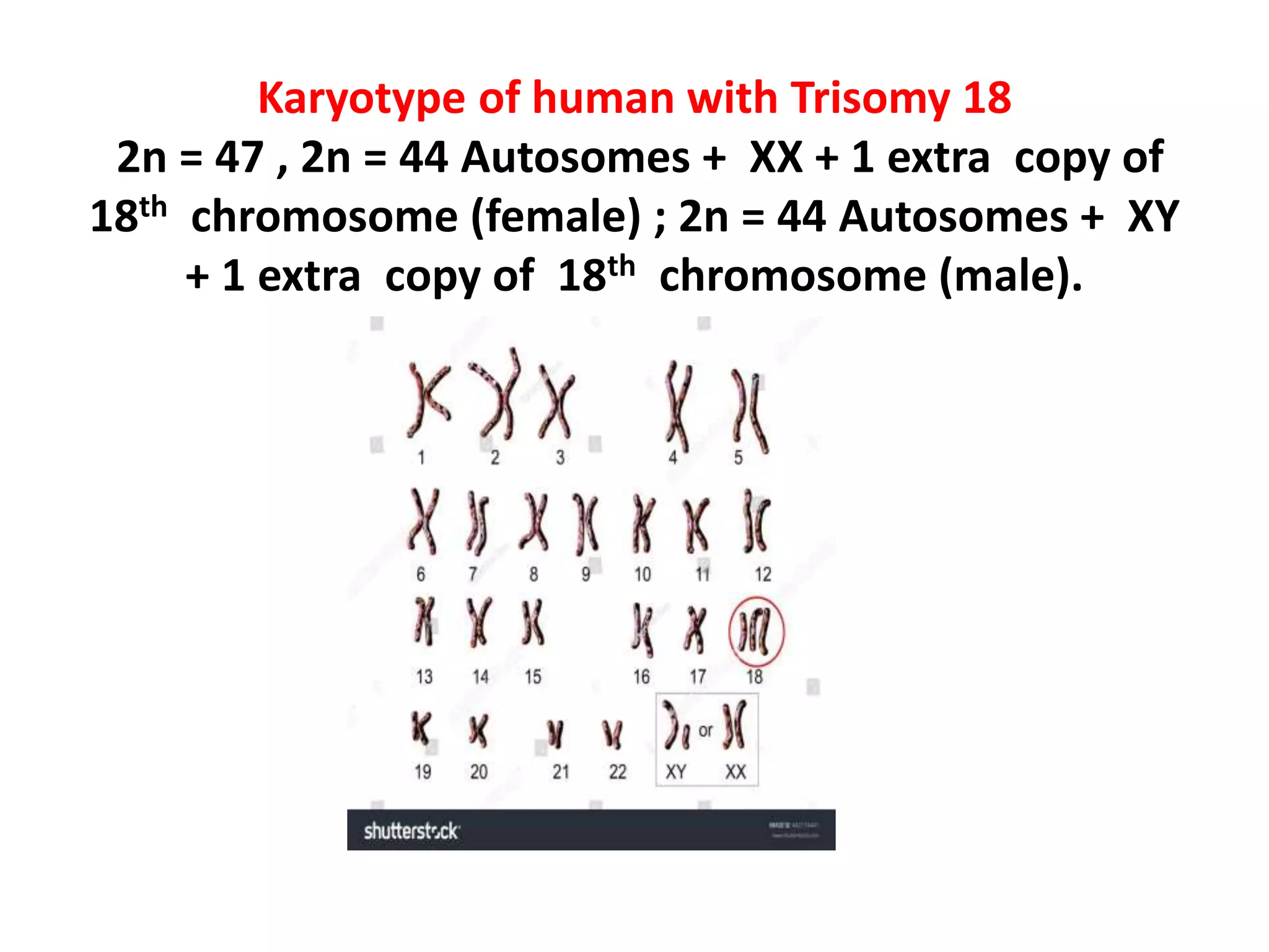 Changes In Number And Structure Of Chromosomes SMG | PPTX