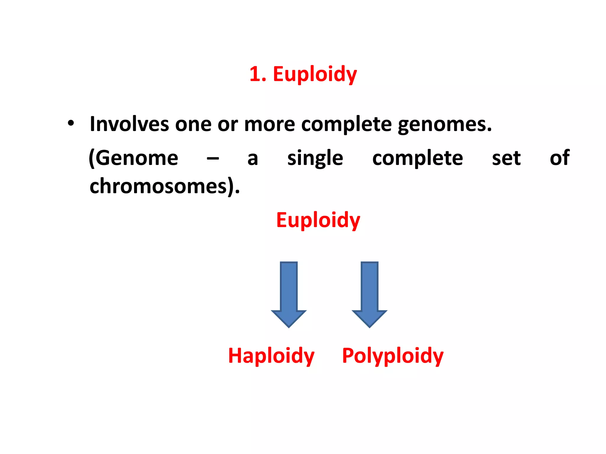 Changes In Number And Structure Of Chromosomes SMG | PPTX