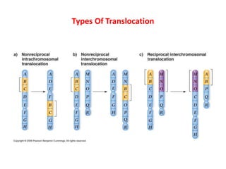 Changes In Number And Structure Of Chromosomes SMG | PPTX