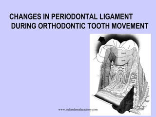 CHANGES IN PERIODONTAL LIGAMENT
DURING ORTHODONTIC TOOTH MOVEMENT
www.indiandentalacademy.com
 