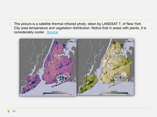  The picture is a satellite thermal infrared photo, taken by LANDSAT 7, of New York
City area temperature and vegetation distribution. Notice that in areas with plants, it is
considerably cooler. Source
14
 