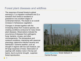 Forest plant diseases and wildfires
 The response of boreal forests to global
warming is 1) a migration northward and 2) a
transition from forest to woodland or
grassland in dry southern edges of
continental interiors. This leads to an overall
increase in herbaceous vegetation.
 Changes in climate together with the
increasing stress from invasive species, are
creating conditions conducive for many forest
plant diseases. Observations indicate the
occurrence of diseases from pathogenic
fungi, bacteria, viruses, and other
microorganisms. The temperature and
moisture conditions, interacting with seasonal
phenology, determine infection severity and
distribution. Extreme weather, such as
drought in regions with low soil moisture, can
kill large expanses of trees. Desiccation of
saplings with shallow roots in the top soil
layers, due to summer drought, suppress
forest reproduction.
5
Jizera Mountains forest dieback in
Central Europe
 