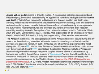  Alaska yellow-cedar decline is drought-related. A weak native pathogen causes red band
needle blight [Dothistroma septosporum]. An aggressive nonnative pathogen causes sudden
oak death [Phytophthora ramorum]). In California and Oregon, sudden oak death rates
abruptly increased and then subsided, the patterm being driven by heavy rains and extended
wet weather during warm periods. Infected trees suffer a reduced capacity to manage water,
but survive until high temperatures and extended dry periods overwhelm their vascular
capability, resulting in death. Two cycles of this pattern have been noted in California: 1998-
2001 and 2005 -2008 (Frankel 2007). The Bay Area experienced an all-time record for rainy
days in March 2006, followed in July by the longest string of hot weather ever recorded.
 The Amazon rainforest. The strongest growth in the Amazon rainforest occurs during the dry
season as there is strong insolation, with water drawn from underground that stores the
previous wet season’s rainfall. In 2005, 1,900,000 km2 of rainforest experienced the worst
drought in 100 years.[59] Woods Hole Research Center showed that the forest could survive
only three years of drought.[61][62] Scientists at the Brazilian National Institute of Amazonian
Research argue that this drought response, coupled with the effects of deforestation by
humans, are pushing the rainforest towards a "tipping point" where it would start to die on a
centennial timescale. In the worst case the forest may turn into savanna or desert, with
catastrophic consequences for the World's climate. However, the IPCC AR5 report is less
pessimistic on this issue. In 2010 the Amazon rainforest experienced another severe drought
over 3,000,000 km2. In a typical year the Amazon forest absorbs 1.5 Gt of CO2; instead 8 Gt
less CO2 was captured.[64][65]
6
 