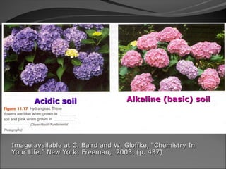 Acidic soil                 Alkaline (basic) soil




Image available at C. Baird and W. Gloffke, “Chemistry In
Your Life.” New York: Freeman, 2003. (p. 437)
 