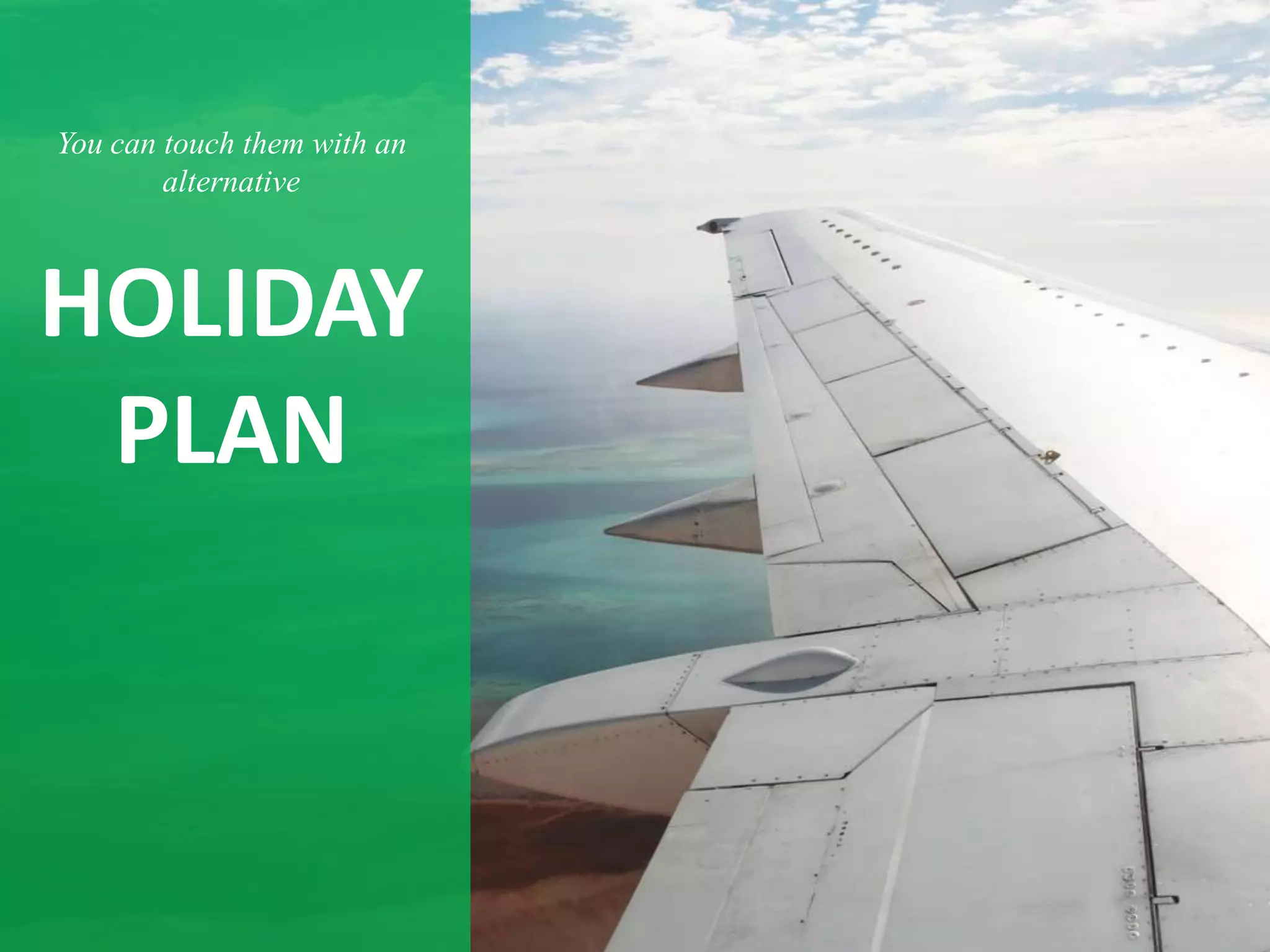 You can touch them with an
        alternative



HOLIDAY
 PLAN
 