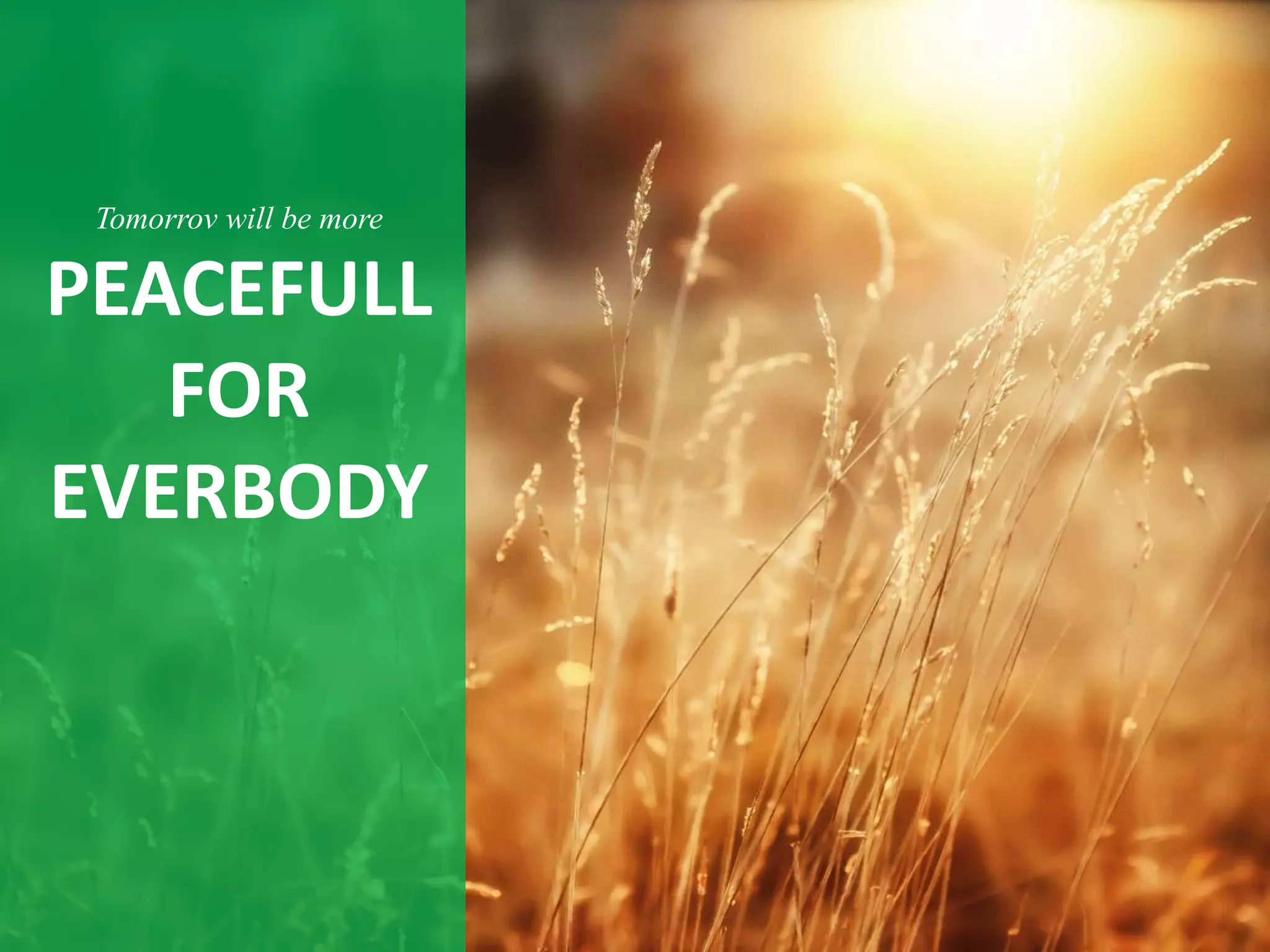 Tomorrov will be more

PEACEFULL
   FOR
EVERBODY
 