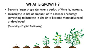 Genesis Example Growth CHANGE MINDSET FOR THE SUSTAINABLE GROWTH OF SMES | PDF