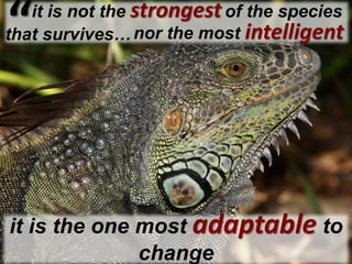 Copyright © by ian fenwick. All rights reserved
digiAindrait is not the strongestof the species
that survives…“
it is the one most adaptable to
change
nor the most intelligent
 