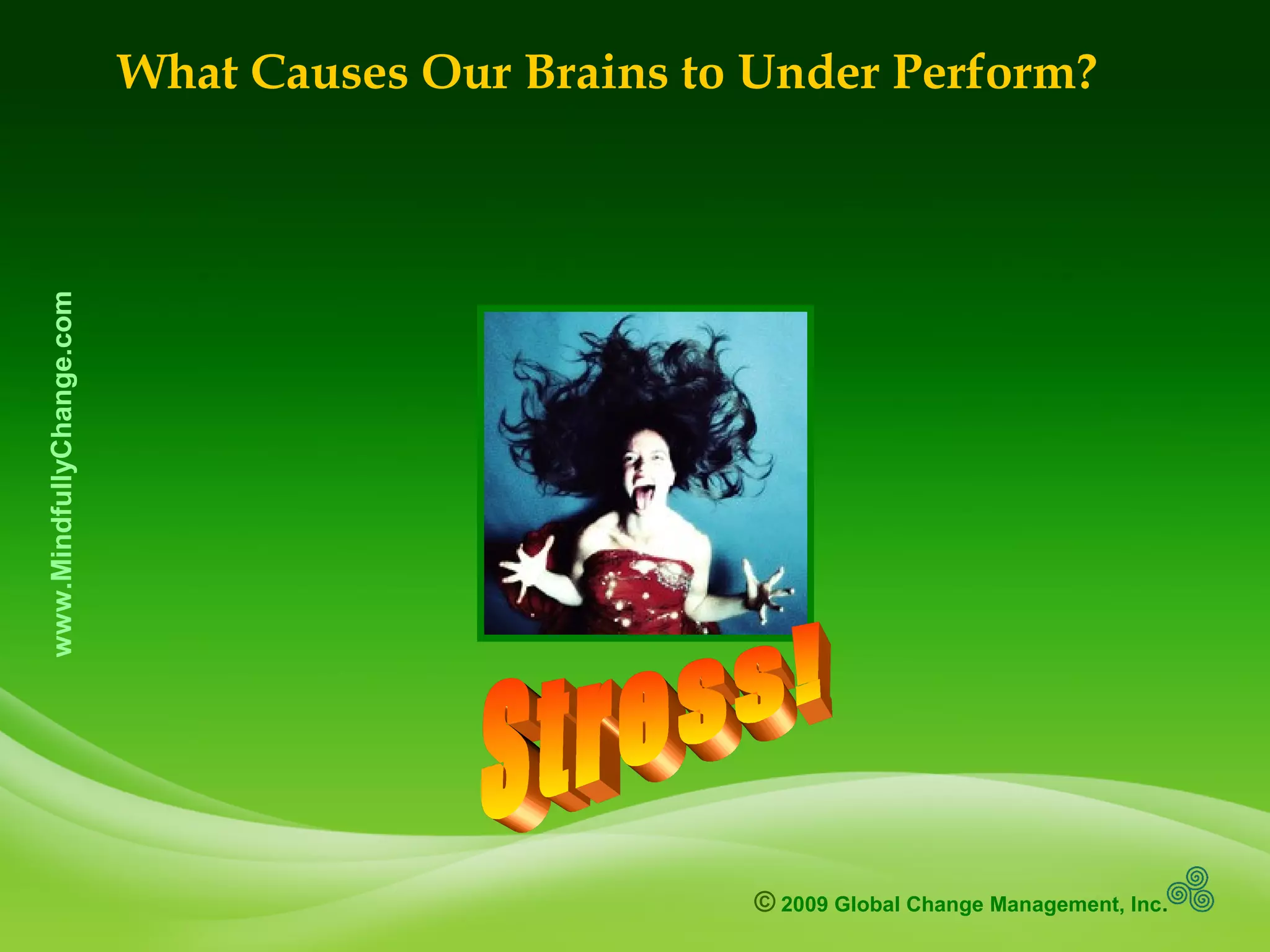 © 2009 Global Change Management, Inc.
www.MindfullyChange.com
What Causes Our Brains to Under Perform?
 