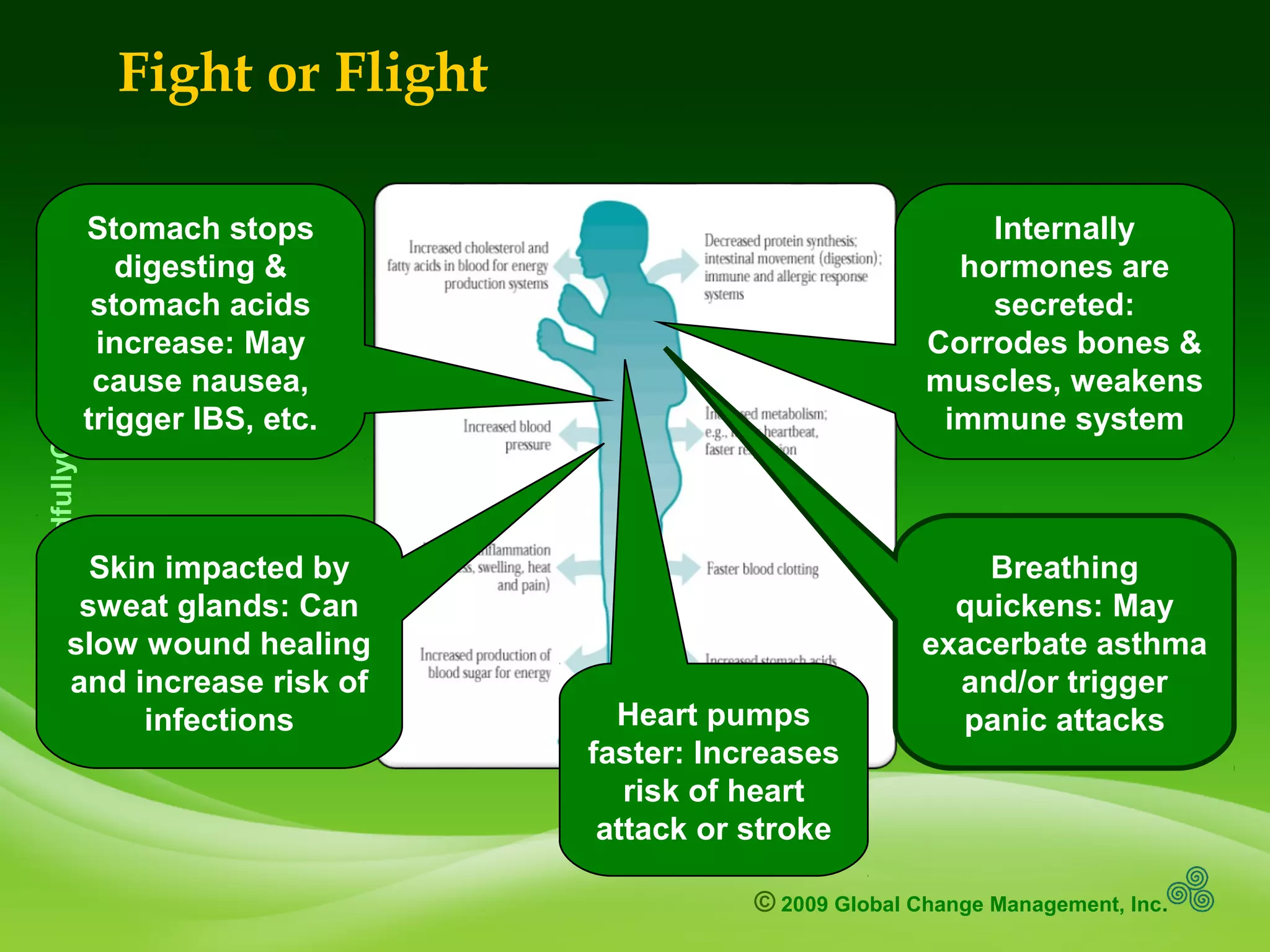 © 2009 Global Change Management, Inc.
www.MindfullyChange.com
Fight or Flight
Heart pumps
faster: Increases
risk of heart
attack or stroke
Skin impacted by
sweat glands: Can
slow wound healing
and increase risk of
infections
Breathing
quickens: May
exacerbate asthma
and/or trigger
panic attacks
Stomach stops
digesting &
stomach acids
increase: May
cause nausea,
trigger IBS, etc.
Internally
hormones are
secreted:
Corrodes bones &
muscles, weakens
immune system
 