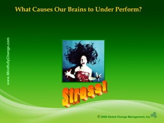 © 2009 Global Change Management, Inc.
www.MindfullyChange.com
What Causes Our Brains to Under Perform?
 