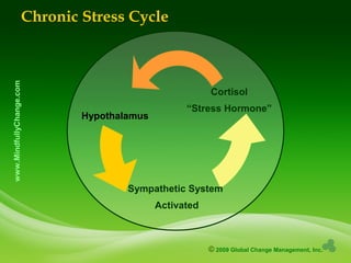 © 2009 Global Change Management, Inc.
www.MindfullyChange.comChronic Stress Cycle
Sympathetic System
Activated
Cortisol
“Stress Hormone”
Hypothalamus
 