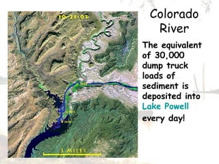 Colorado River The equivalent of 30,000 dump truck loads of sediment is deposited into  Lake Powell  every day!   