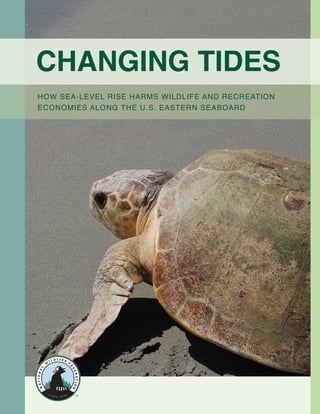 1Changing Tides: HOW SEA-Level Rise Harms Wildlife and recreation Economies Along the U.S. Eastern Seaboard
CHANGING TIDES
How Sea-level Rise Harms Wildlife and Recreation
Economies ALONG THE U.S. EASTERN SEABOARD
 