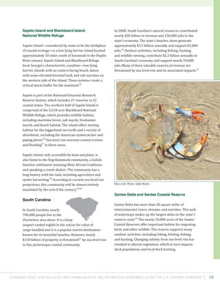 Changing Tides: HOW SEA-Level Rise Harms Wildlife and recreation Economies Along the U.S. Eastern Seaboard 10
In 2008, South Carolina’s natural resources contributed
nearly $30 billion in revenue and 230,000 jobs to the
state’s economy. The state’s beaches alone generate
approximately $3.5 billion annually and support 81,000
jobs.62
Outdoor activities, including fishing, hunting
and wildlife viewing, contribute $2.2 billion annually to
South Carolina’s economy and support nearly 59,000
jobs.Many of these valuable sources of revenue are
threatened by sea-level rise and its associated impacts.63
Santee Delta and Santee Coastal Reserve
Santee Delta has more than 20 square miles of
interconnected rivers, streams, and marshes. This web
of waterways makes up the largest delta on the state’s
eastern coast.64
The nearly 24,000 acres of the Santee
Coastal Reserves offer important habitat for migrating
birds and other wildlife. The reserve supports many
outdoor activities, including hiking, birding, fishing,
and hunting. Changing salinity from sea-level rise has
resulted in altered vegetation, which in turn impacts
duck populations and local duck hunting.
Sapelo Island and Blackbeard Island
National Wildlife Refuge
Sapelo Island—considered by some to be the birthplace
of coastal ecology—is a low lying barrier island located
approximately 50 miles south of Savannah in the Duplin
River estuary. Sapelo Island and Blackbeard Refuge
form Georgia’s characteristic coastline—low lying
barrier islands with an eastern facing beach, dunes
with some elevated forested land, and salt marshes on
the western side of the island. These systems create a
critical storm buffer for the mainland.55
Sapelo is part of the National Estuarine Research
Reserve System, which includes 27 reserves in 22
coastal states. The northern half of Sapelo Island is
comprised of the 5,618-acre Blackbeard National
Wildlife Refuge, which provides wildlife habitat,
including maritime forest, salt marsh, freshwater
marsh, and beach habitat. The island offers nesting
habitat for the loggerhead sea turtle and a variety of
shorebirds, including the American oystercatcher and
piping plover.56
Sea-level rise worsens coastal erosion
and flooding57
in these areas.
Sapelo Island, only accessible by boat and plane, is
also home to the Hog Hammock community, a Gullah-
Geechee settlement retaining West African traditions
and speaking a creole dialect. The community has a
long history with the land, including agriculture and
oyster harvesting.58
According to current sea-level rise
projections, this community will be almost entirely
inundated by the end of the century.59,60
South Carolina
In South Carolina, nearly
700,000 people live in the
Charleston area alone. It is a busy
seaport ranked eighth in the nation for value of
cargo handled and it is a popular tourist destination
known for its beautiful beaches. However, nearly
$150 billion of property is threatened61
by sea-level rise
in this picturesque coastal community.
Blue crab. Photo: Sally Wyatt.
 