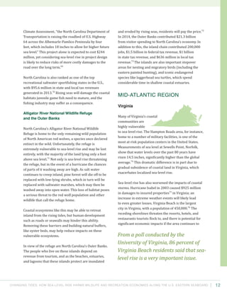 Changing Tides: HOW SEA-Level Rise Harms Wildlife and recreation Economies Along the U.S. Eastern Seaboard 12
and eroded by rising seas, residents will pay the price.72
In 2014, the Outer Banks contributed $21.3 billion
from visitor spending to North Carolina’s economy. In
addition to this, the island chain contributed 200,000
jobs, $1.5 billion in federal tax revenue, $1 billion
in state tax revenue, and $636 million in local tax
revenue.73
The islands are also important stopover
areas for nesting and migratory birds (including the
eastern painted bunting), and iconic endangered
species like loggerhead sea turtles, which spend
considerable time in shallow coastal estuaries.
Mid-Atlantic Region
Virginia
Many of Virginia’s coastal
communities are
highly vulnerable
to sea-level rise. The Hampton Roads area, for instance,
home to a number of military facilities, is one of the
most at-risk population centers in the United States.
Measurements of sea level at Sewells Point, Norfolk,
show that water levels over the past 80 years have
risen 14.5 inches, significantly higher than the global
average.74
This dramatic difference is in part due to
gradual subsidence of coastal land in Virginia, which
exacerbates localized sea-level rise.
Sea-level rise has also worsened the impacts of coastal
storms. Hurricane Isabel in 2003 caused $925 million
in damages to insured properties75
in Virginia; an
increase in extreme weather events will likely lead
to even greater losses. Virginia Beach is the largest
city in Virginia, with a population of 450,000.76
The
receding shorelines threaten the resorts, hotels, and
restaurants tourists flock to, and there is potential for
significant economic impacts if the area continues to
Climate Assessment, “the North Carolina Department of
Transportation is raising the roadbed of U.S. Highway
64 across the Albemarle-Pamlico Peninsula by four
feet, which includes 18 inches to allow for higher future
sea level.” This project alone is expected to cost $244
million, yet considering sea-level rise in project design
is likely to reduce risks of more costly damages to the
road over the long term.69
North Carolina is also ranked as one of the top
recreational saltwater sportfishing states in the U.S.,
with $95.6 million in state and local tax revenues
generated in 2013.70
Rising seas will damage the coastal
habitats juvenile game fish need to mature, and the
fishing industry may suffer as a consequence.
Alligator River National Wildlife Refuge
and the Outer Banks
North Carolina’s Alligator River National Wildlife
Refuge is home to the only remaining wild population
of North American red wolves, a species once declared
extinct in the wild. Unfortunately, the refuge is
extremely vulnerable to sea-level rise and may be lost
entirely, with the majority of the land lying only a foot
above sea level.71
Not only is sea-level rise threatening
the refuge, but in the event of a hurricane the chances
of parts of it washing away are high. As salt water
continues to creep inland, pine forest will die off to be
replaced with low-lying shrubs, which in turn will be
replaced with saltwater marshes, which may then be
washed away into open water. This loss of habitat poses
a serious threat to the red wolf population and other
wildlife that call the refuge home.
Coastal ecosystems like this may be able to retreat
inland from the rising tides, but human development
such as roads or seawalls may hinder this ability.
Removing these barriers and building natural buffers,
like oyster beds, may help reduce impacts on these
vulnerable ecosystems.
In view of the refuge are North Carolina’s Outer Banks.
The people who live on these islands depend on
revenue from tourism, and as the beaches, estuaries,
and lagoons that these islands protect are inundated
From a poll conducted by the
University of Virginia, 86 percent of
Virginia Beach residents said that sea-
level rise is a very important issue.
 