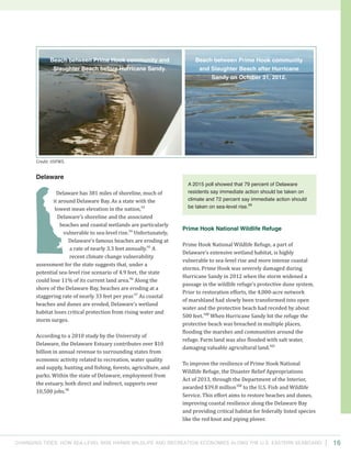 Changing Tides: HOW SEA-Level Rise Harms Wildlife and recreation Economies Along the U.S. Eastern Seaboard 16
Prime Hook National Wildlife Refuge
Prime Hook National Wildlife Refuge, a part of
Delaware’s extensive wetland habitat, is highly
vulnerable to sea-level rise and more intense coastal
storms. Prime Hook was severely damaged during
Hurricane Sandy in 2012 when the storm widened a
passage in the wildlife refuge’s protective dune system.
Prior to restoration efforts, the 4,000-acre network
of marshland had slowly been transformed into open
water and the protective beach had receded by about
500 feet.100
When Hurricane Sandy hit the refuge the
protective beach was breached in multiple places,
flooding the marshes and communities around the
refuge. Farm land was also flooded with salt water,
damaging valuable agricultural land.101
To improve the resilience of Prime Hook National
Wildlife Refuge, the Disaster Relief Appropriations
Act of 2013, through the Department of the Interior,
awarded $39.8 million102
to the U.S. Fish and Wildlife
Service. This effort aims to restore beaches and dunes,
improving coastal resilience along the Delaware Bay
and providing critical habitat for federally listed species
like the red knot and piping plover.
Delaware
Delaware has 381 miles of shoreline, much of
it around Delaware Bay. As a state with the
lowest mean elevation in the nation,93
Delaware’s shoreline and the associated
beaches and coastal wetlands are particularly
vulnerable to sea-level rise.94
Unfortunately,
Delaware’s famous beaches are eroding at
a rate of nearly 3.3 feet annually.95
A
recent climate change vulnerability
assessment for the state suggests that, under a
potential sea-level rise scenario of 4.9 feet, the state
could lose 11% of its current land area.96
Along the
shore of the Delaware Bay, beaches are eroding at a
staggering rate of nearly 33 feet per year.97
As coastal
beaches and dunes are eroded, Delaware’s wetland
habitat loses critical protection from rising water and
storm surges.
According to a 2010 study by the University of
Delaware, the Delaware Estuary contributes over $10
billion in annual revenue to surrounding states from
economic activity related to recreation, water quality
and supply, hunting and fishing, forests, agriculture, and
parks. Within the state of Delaware, employment from
the estuary, both direct and indirect, supports over
10,500 jobs.98
Credit: USFWS.
A 2015 poll showed that 79 percent of Delaware
residents say immediate action should be taken on
climate and 72 percent say immediate action should
be taken on sea-level rise.99
Beach between Prime Hook community and
Slaughter Beach before Hurricane Sandy.
Beach between Prime Hook community
and Slaughter Beach after Hurricane
Sandy on October 31, 2012.
 
