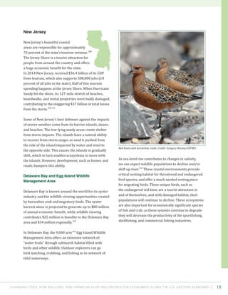 Changing Tides: HOW SEA-Level Rise Harms Wildlife and recreation Economies Along the U.S. Eastern Seaboard 18
As sea-level rise contributes to changes in salinity,
we can expect wildlife populations to decline and/or
shift up river.114
These coastal environments provide
critical nesting habitat for threatened and endangered
bird species, and offer a much needed resting place
for migrating birds. These unique birds, such as
the endangered red knot, are a tourist attraction in
and of themselves, and with damaged habitat, their
populations will continue to decline. These ecosystems
are also important for economically significant species
of fish and crab; as these systems continue to degrade
they will decrease the productivity of the sportfishing,
shellfishing, and commercial fishing industries.
New Jersey
New Jersey’s beautiful coastal
areas are responsible for approximately
70 percent of the state’s tourism revenue.109
The Jersey Shore is a tourist attraction for
people from around the country and offers
a huge economic benefit for the state.
In 2014 New Jersey received $36.4 billion of its GDP
from tourism, which also supports 508,000 jobs (10
percent of all jobs in the state). Half of this tourism
spending happens at the Jersey Shore. When Hurricane
Sandy hit the shore, its 127-mile stretch of beaches,
boardwalks, and rental properties were badly damaged,
contributing to the staggering $37 billion in total losses
from the storm.110,111
Some of New Jersey’s best defenses against the impacts
of severe weather come from its barrier islands, dunes,
and beaches. The low-lying sandy areas create shelter
from storm impacts. The islands have a natural ability
to recover from storm surges as sand is pushed from
the side of the island impacted by water and wind to
the opposite side. This causes the islands to gradually
shift, which in turn enables ecosystems to move with
the islands. However, development, such as homes and
roads, hampers this ability.
Delaware Bay and Egg Island Wildlife
Management Area
Delaware Bay is known around the world for its oyster
industry and the wildlife viewing opportunities created
by horseshoe crab and migratory birds. The oyster
harvest alone is projected to generate up to $80 million
of annual economic benefit, while wildlife viewing
contributes $25 million in benefits to the Delaware Bay
area and $34 million regionally.112
In Delaware Bay, the 9,000 acre113
Egg Island Wildlife
Management Area offers an extensive network of
“water trails” through saltmarsh habitat filled with
birds and other wildlife. Outdoor explorers can go
bird watching, crabbing, and fishing in its network of
tidal waterways.
Red knots and horseshoe crabs. Credit: Gregory Breese/USFWS.
 