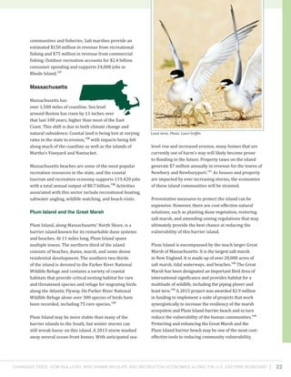 Changing Tides: HOW SEA-Level Rise Harms Wildlife and recreation Economies Along the U.S. Eastern Seaboard 22
level rise and increased erosion, many homes that are
currently out of harm’s way will likely become prone
to flooding in the future. Property taxes on the island
generate $7 million annually in revenue for the towns of
Newbury and Newburyport.141
As houses and property
are impacted by ever increasing storms, the economies
of these island communities will be strained.
Preventative measures to protect the island can be
expensive. However, there are cost-effective natural
solutions, such as planting dune vegetation, restoring
salt marsh, and amending zoning regulations that may
ultimately provide the best chance at reducing the
vulnerability of this barrier island.
Plum Island is encompassed by the much larger Great
Marsh of Massachusetts. It is the largest salt marsh
in New England. It is made up of over 20,000 acres of
salt marsh, tidal waterways, and beaches.142
The Great
Marsh has been designated an Important Bird Area of
international significance and provides habitat for a
multitude of wildlife, including the piping plover and
least tern.143
A 2015 project was awarded $2.9 million
in funding to implement a suite of projects that work
synergistically to increase the resiliency of the marsh
ecosystem and Plum Island barrier beach and in turn
reduce the vulnerability of the human communities.144
Protecting and enhancing the Great Marsh and the
Plum Island barrier beach may be one of the most cost-
effective tools to reducing community vulnerability.
communities and fisheries. Salt marshes provide an
estimated $150 million in revenue from recreational
fishing and $75 million in revenue from commercial
fishing. Outdoor recreation accounts for $2.4 billion
consumer spending and supports 24,000 jobs in
Rhode Island.137
Massachusetts
Massachusetts has
over 1,500 miles of coastline. Sea level
around Boston has risen by 11 inches over
that last 100 years, higher than most of the East
Coast. This shift is due to both climate change and
natural subsidence. Coastal land is being lost at varying
rates in the state to erosion,138
with impacts being felt
along much of the coastline as well as the islands of
Martha’s Vineyard and Nantucket.
Massachusetts beaches are some of the most popular
recreation resources in the state, and the coastal
tourism and recreation economy supports 119,420 jobs
with a total annual output of $8.7 billion.139
Activities
associated with this sector include recreational boating,
saltwater angling, wildlife watching, and beach visits.
Plum Island and the Great Marsh
Plum Island, along Massachusetts’ North Shore, is a
barrier island known for its remarkable dune systems
and beaches. At 11 miles long, Plum Island spans
multiple towns. The northern third of the island
consists of beaches, dunes, marsh, and some dense
residential development. The southern two thirds
of the island is devoted to the Parker River National
Wildlife Refuge and contains a variety of coastal
habitats that provide critical nesting habitat for rare
and threatened species and refuge for migrating birds
along the Atlantic Flyway. On Parker River National
Wildlife Refuge alone over 300 species of birds have
been recorded, including 75 rare species.140
Plum Island may be more stable than many of the
barrier islands to the South, but winter storms can
still wreak havoc on this island. A 2013 storm washed
away several ocean-front homes. With anticipated sea-
Least terns. Photo: Lauri Griffin.
 