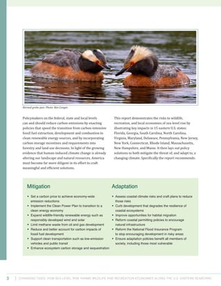 Changing Tides: HOW SEA-Level Rise Harms Wildlife and recreation Economies Along the U.S. Eastern Seaboard3
This report demonstrates the risks to wildlife,
recreation, and local economies of sea-level rise by
illustrating key impacts in 15 eastern U.S. states:
Florida, Georgia, South Carolina, North Carolina,
Virginia, Maryland, Delaware, Pennsylvania, New Jersey,
New York, Connecticut, Rhode Island, Massachusetts,
New Hampshire, and Maine. It then lays out policy
solutions to both mitigate the threat of, and adapt to, a
changing climate. Specifically the report recommends:
Policymakers on the federal, state and local levels
can and should reduce carbon emissions by enacting
policies that speed the transition from carbon-intensive
fossil fuel extraction, development and combustion to
clean renewable energy sources, and by incorporating
carbon storage incentives and requirements into
forestry and land use decisions. In light of the growing
evidence that human-induced climate change is already
altering our landscape and natural resources, America
must become far more diligent in its effort to craft
meaningful and efficient solutions.
Mitigation
• Set a carbon price to achieve economy-wide
emission reductions
• Implement the Clean Power Plan to transition to a
clean energy economy
• Expand wildlife-friendly renewable energy such as
responsibly developed wind and solar
• Limit methane waste from oil and gas development
• Reduce and better account for carbon impacts of
fossil fuel development
• Support clean transportation such as low-emission
vehicles and public transit
• Enhance ecosystem carbon storage and sequestration
Adaptation
• Assess coastal climate risks and craft plans to reduce
those risks
• Curb development that degrades the resilience of
coastal ecosystems
• Improve opportunities for habitat migration
• Reform coastal permitting policies to encourage
natural infrastructure
• Reform the National Flood Insurance Program
to stop encouraging development in risky areas
• Ensure adaptation policies benefit all members of
society, including those most vulnerable
Horned grebe pair. Photo: Ken Conger.
 