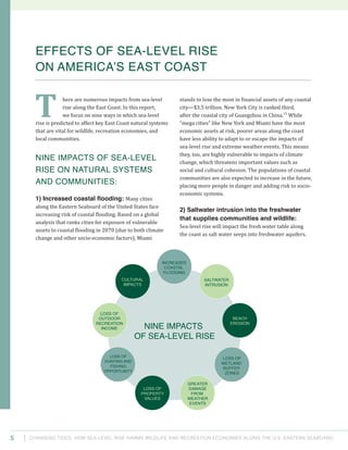 Changing Tides: HOW SEA-Level Rise Harms Wildlife and recreation Economies Along the U.S. Eastern Seaboard5
stands to lose the most in financial assets of any coastal
city—$3.5 trillion. New York City is ranked third,
after the coastal city of Guangzhou in China.15
While
“mega cities” like New York and Miami have the most
economic assets at risk, poorer areas along the coast
have less ability to adapt to or escape the impacts of
sea-level rise and extreme weather events. This means
they, too, are highly vulnerable to impacts of climate
change, which threatens important values such as
social and cultural cohesion. The populations of coastal
communities are also expected to increase in the future,
placing more people in danger and adding risk to socio-
economic systems.
2) Saltwater intrusion into the freshwater
that supplies communities and wildlife:
Sea-level rise will impact the fresh water table along
the coast as salt water seeps into freshwater aquifers.
here are numerous impacts from sea-level
rise along the East Coast. In this report,
we focus on nine ways in which sea-level
rise is predicted to affect key East Coast natural systems
that are vital for wildlife, recreation economies, and
local communities.
NINE IMPACTS OF SEA-LEVEL
RISE ON NATURAL SYSTEMS
AND COMMUNITIES:
1) Increased coastal flooding: Many cities
along the Eastern Seaboard of the United States face
increasing risk of coastal flooding. Based on a global
analysis that ranks cities for exposure of vulnerable
assets to coastal flooding in 2070 (due to both climate
change and other socio-economic factors), Miami
Effects of Sea-level Rise
ON America’s East Coast
NINE IMPACTS
OF SEA-LEVEL RISE
INCREASED
COASTAL
FLOODING
SALTWATER
INTRUSION
BEACH
EROSION
LOSS OF
WETLAND
BUFFER
ZONES
GREATER
DAMAGE
FROM
WEATHER
EVENTS
LOSS OF
PROPERTY
VALUES
LOSS OF
HUNTING AND
FISHING
OPPORTUNITY
LOSS OF
OUTDOOR
RECREATION
INCOME
CULTURAL
IMPACTS
T
 