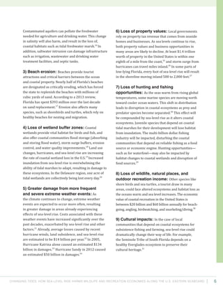 Changing Tides: HOW SEA-Level Rise Harms Wildlife and recreation Economies Along the U.S. Eastern Seaboard 6
6) Loss of property values: Local governments
rely on property tax revenue that comes from seaside
homes and businesses. As sea levels continue to rise,
both property values and business opportunities in
many areas are likely to decline. At least $1.4 trillion
worth of property in the United States is within one
eighth of a mile from the coast,25
and storm surge from
hurricanes can travel miles inland.26
In some parts of
low-lying Florida, every foot of sea-level rise will result
in the shoreline moving inland 500 to 2,000 feet.27
7) Loss of hunting and fishing
opportunities: As the seas warm from rising global
temperatures, some marine species are moving north
toward cooler ocean waters. This shift in distribution
leads to disruption in coastal ecosystems as prey and
predator species become separated.28
This effect will
be compounded by sea-level rise as it alters coastal
ecosystems. Juvenile species that depend on coastal
tidal marshes for their development will lose habitat
from inundation. The multi-billion dollar fishing
industry will be impacted, disturbing the coastal
communities that depend on reliable fishing as a food
source or economic engine. Hunting opportunities—
such as for waterfowl—may also be impacted by
habitat changes to coastal wetlands and disruption of
food sources.29
8) Loss of wildlife, natural places, and
outdoor recreation income: Other species like
shore birds and sea turtles, a tourist draw in many
areas, could face altered ecosystems and habitat loss as
the oceans warm and sea level increases. The economic
value of coastal recreation in the United States is
between $20 billion and $60 billion annually for beach-
going, angling, birdwatching, and snorkeling/diving.30
9) Cultural impacts: In the case of local
communities that depend on coastal ecosystems for
subsistence fishing and farming, sea-level rise could
dramatically change their way of life. For example,
the Seminole Tribe of South Florida depends on a
healthy Everglades ecosystem to preserve their
cultural heritage.31
Contaminated aquifers can pollute the freshwater
needed for agriculture and drinking water. This change
in salinity will also harm, and result in the loss of,
coastal habitats such as tidal freshwater marsh.16
In
addition, saltwater intrusion can damage infrastructure
such as irrigation, wastewater and drinking water
treatment facilities, and septic tanks.
3) Beach erosion: Beaches provide tourist
attractions and critical barriers between the ocean
and coastal property. Nearly half of Florida’s beaches
are designated as critically eroding, which has forced
the state to replenish the beaches with millions of
cubic yards of sand. According to a 2013 review,
Florida has spent $393 million over the last decade
on sand replacement.17
Erosion also affects many
species, such as shorebirds and turtles, which rely on
healthy beaches for nesting and migration.
4) Loss of wetland buffer zones: Coastal
wetlands provide vital habitat for birds and fish, and
also offer coastal communities flood storage (absorbing
and storing flood water), storm surge buffers, erosion
control, and water quality improvements.18
Land use
changes, hurricanes, and sea-level rise are increasing
the rate of coastal wetland loss in the U.S.19
Increased
inundation from sea-level rise is overwhelming the
ability of tidal marshes to adapt, resulting in damage to
these ecosystems. In the Delaware region, one acre of
tidal wetlands are collectively being lost every day.20
5) Greater damage from more frequent
and severe extreme weather events: As
the climate continues to change, extreme weather
events are expected to occur more often, resulting
in greater damage in areas already experiencing
effects of sea-level rise. Costs associated with these
weather events have increased significantly over the
past decades, exacerbated by sea-level rise and other
factors.21
Already, average losses caused by recent
hurricane winds, land subsidence, and sea-level rise
are estimated to be $14 billion per year.22
In 2005,
Hurricane Katrina alone caused an estimated $134
billion in damages.23
Hurricane Sandy in 2012 caused
an estimated $50 billion in damages.24
 