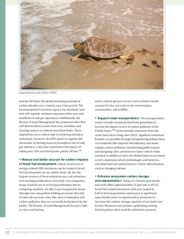 environment electricity harms how the Tides Changing environment electricity harms how the Tides Changing