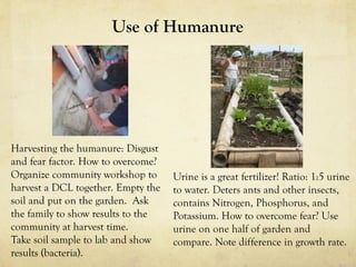Use of Humanure
Harvesting the humanure: Disgust
and fear factor. How to overcome?
Organize community workshop to
harvest a DCL together. Empty the
soil and put on the garden. Ask
the family to show results to the
community at harvest time.
Take soil sample to lab and show
results (bacteria).
Urine is a great fertilizer! Ratio: 1:5 urine
to water. Deters ants and other insects,
contains Nitrogen, Phosphorus, and
Potassium. How to overcome fear? Use
urine on one half of garden and
compare. Note difference in growth rate.
 