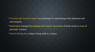• Proximal and occlusal contacts are important in maintaining tooth alignment and
arch integrity.
• Mastication causing buccolingual and vertical movement of teeth results in wear of
proximal contacts.
• Mesial drifting force helps to keep teeth in contact.
 
