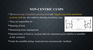 NON-CENTRIC CUSPS
• The buccal cusp of maxillary posterior teeth and lingual cusp of the mandibular
posterior teeth are also called as shearing or guiding cusps.
• These are responsible for-
Shearing of food.
Minimizing tissue impingement.
Maintain bolus of food on occlusal table for mastication gives stability to mandible
in full occlusion.
Guide the mandible during mastication by neuromuscular feedback
 