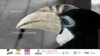 Changing forests, changing diets in Papua