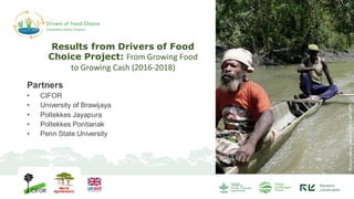Changing forests, changing diets in Papua