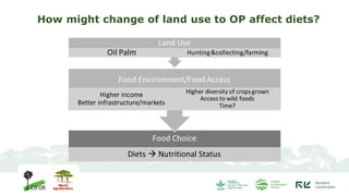 Changing forests, changing diets in Papua