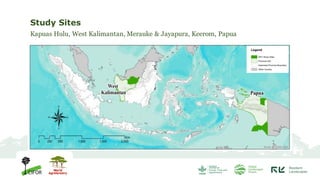 Changing forests, changing diets in Papua