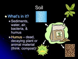 Soil
 What’s in it?
 Sediments,
water, air,
bacteria, &
humus
 Humus – dead,
decaying plant or
animal material
(think: compost)
 