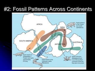 #2: Fossil Patterns Across Continents
 