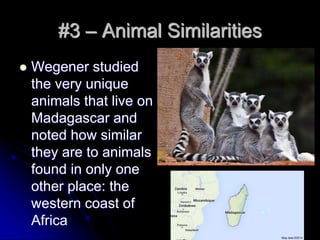 #3 – Animal Similarities
 Wegener studied
the very unique
animals that live on
Madagascar and
noted how similar
they are to animals
found in only one
other place: the
western coast of
Africa
 