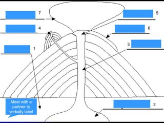 Main Vent
Crater
1
2
3
4
5
6
7
Meet with a
partner to
verbally label
 