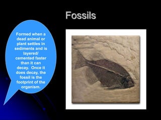 Fossils
Formed when a
dead animal or
plant settles in
sediments and is
layered/
cemented faster
than it can
decay. Once it
does decay, the
fossil is the
footprint of the
organism.
 