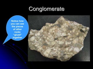 Conglomerate
Notice how
you can see
the pieces
of other
rocks
“glued”
together
 