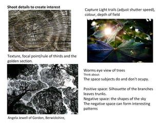 Worms eye view of trees
Think about:
The space subjects do and don't ocupy.
Positive space: Silhouette of the branches
leaves trunks.
Negative space: the shapes of the sky
The negative space can form interesting
patterns
Texture, focal point/rule of thirds and the
golden section.
Capture Light trails (adjust shutter speed),
colour, depth of field
Shoot details to create interest
Angela Jewell of Gordon, Berwickshire,
 