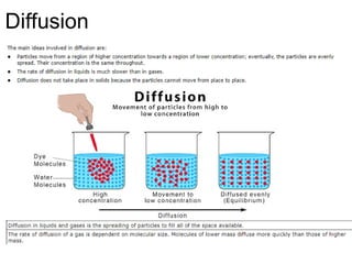 Diffusion
 