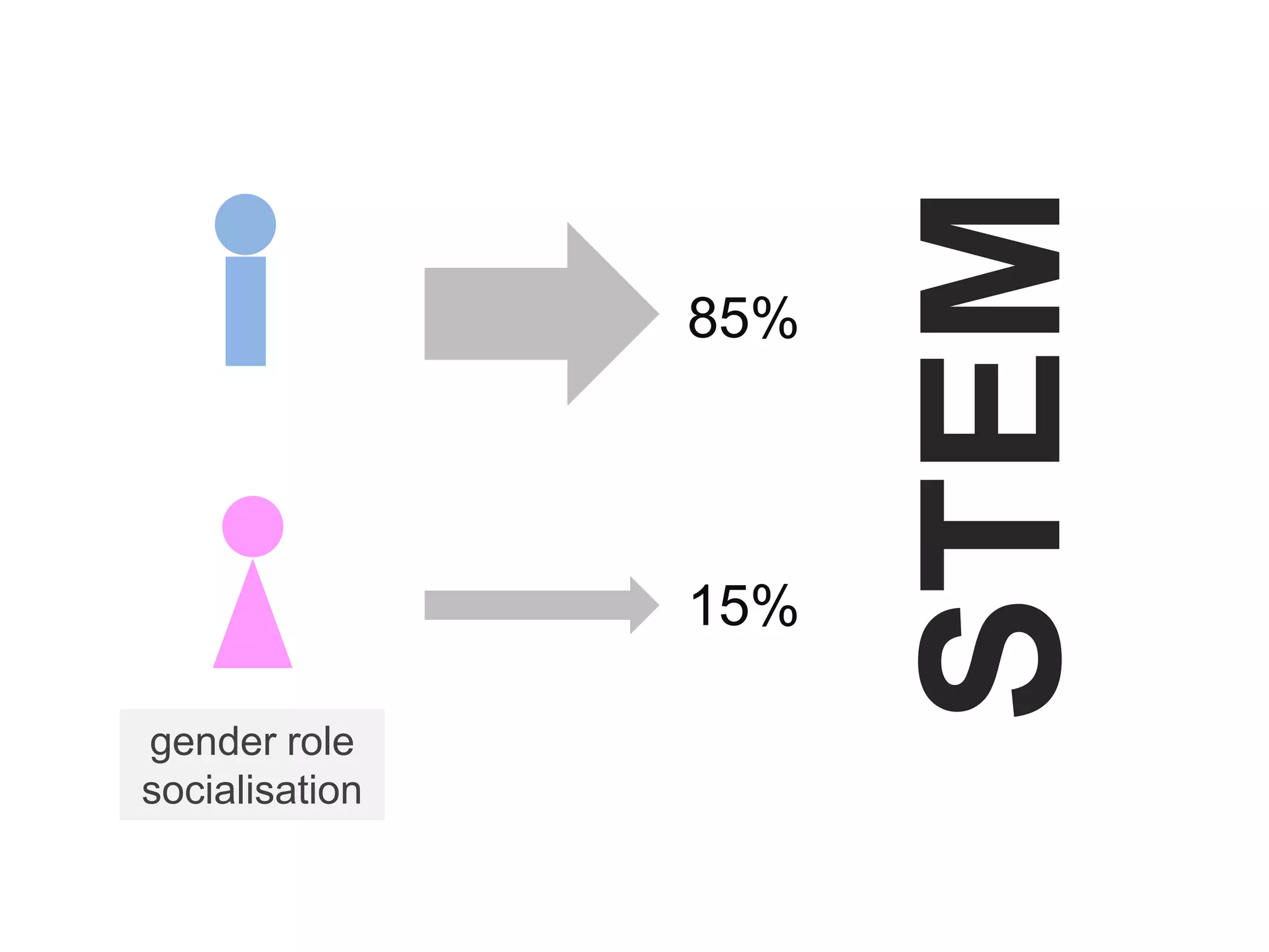 STEM
85%
15%
gender role
socialisation