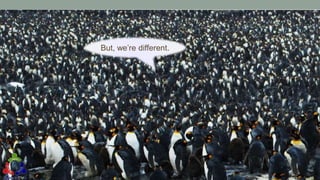 …Leads to This
16
But, we’re different.
 