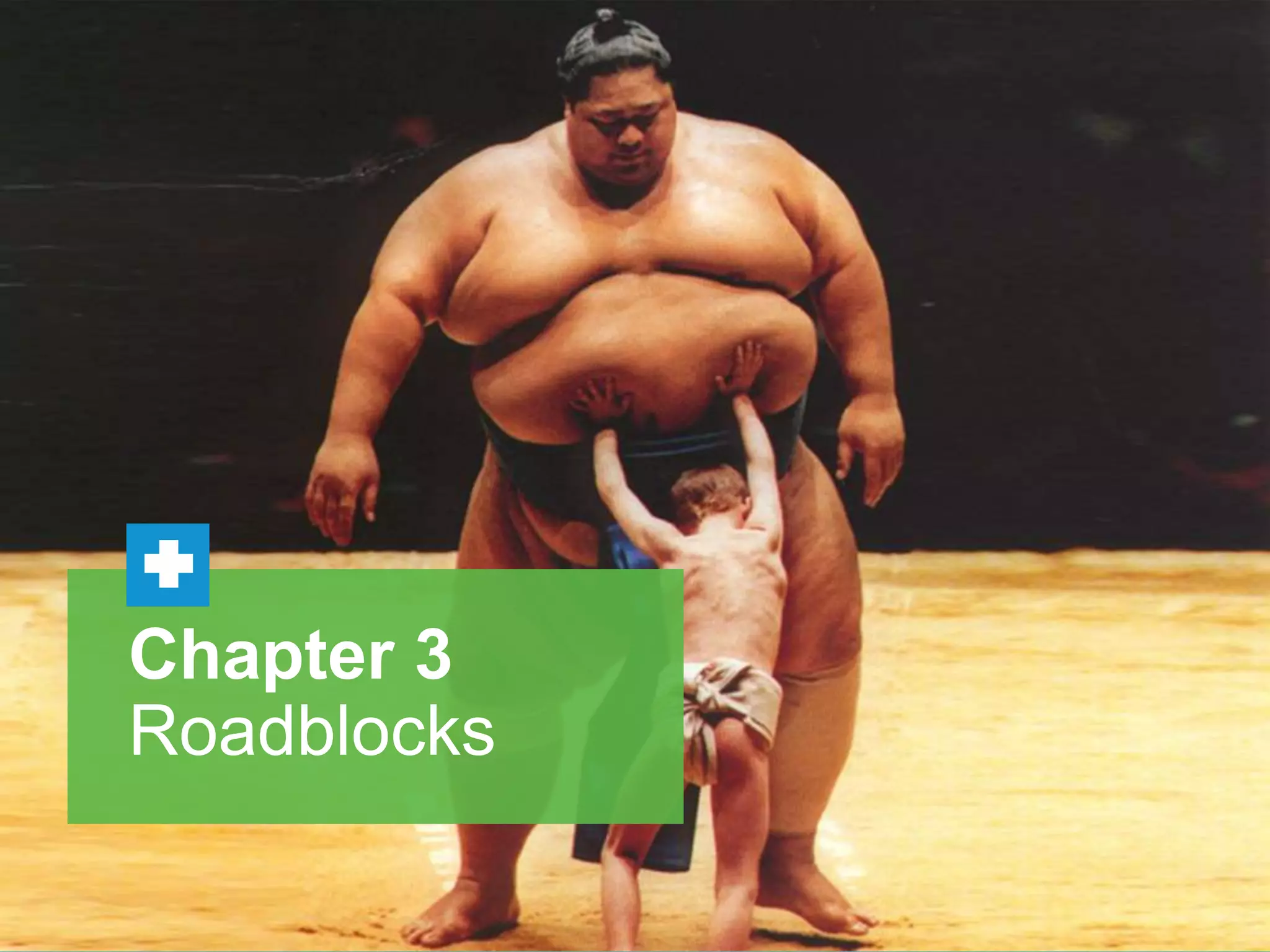 Chapter 3
Roadblocks

 